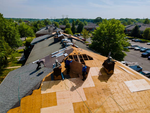 Best Flat Roof Repair Services  in Petersburg, VA