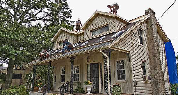 Best Roof Restoration Services  in Petersburg, VA