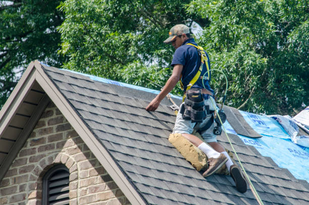 Best Shingle Roofing Installation  in Petersburg, VA